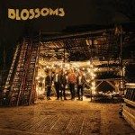 blossoms cd2016