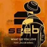 seeb what do you love