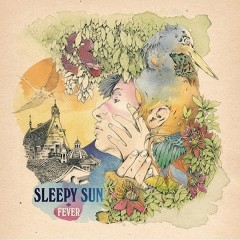 sleepy sun cd.jpg