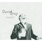 david gray cd.jpg