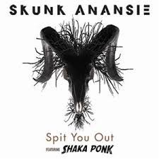 musica,video,testi,traduzioni,skunk anansie,video skunk anansie,testi skunk anansie,traduzioni skunk anansie,shaka ponk