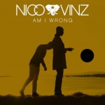 nico_vinz_am_i_wrong
