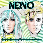nervo collateral
