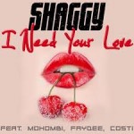 shaggy i need your love