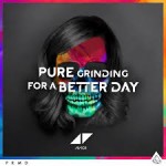 avicii for a better day