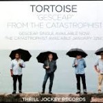 tortoise the cata