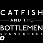 catfish and the bottlemen sound