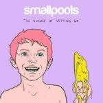 SMALLPOOLS EP2017
