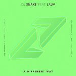 dj_snake_a_different_way