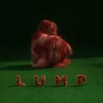 LUMP CD2018