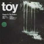 toy cd2019