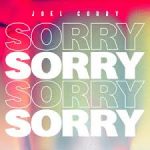JOEL CORRY SORRY