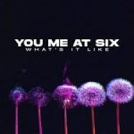 you me at six what