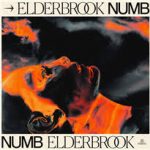 elderbrook numb