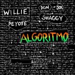 willie peyote algoritmo